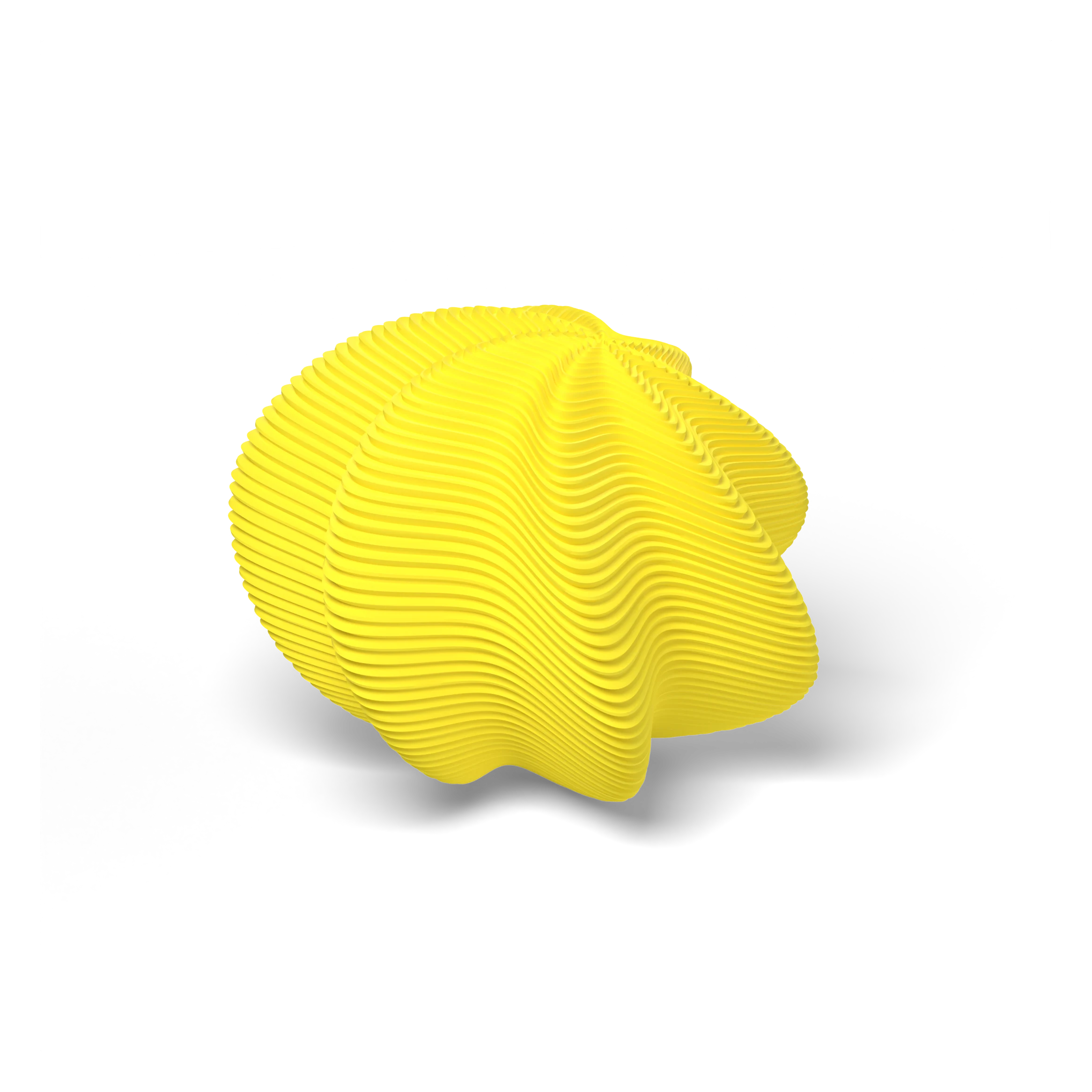 A seed form